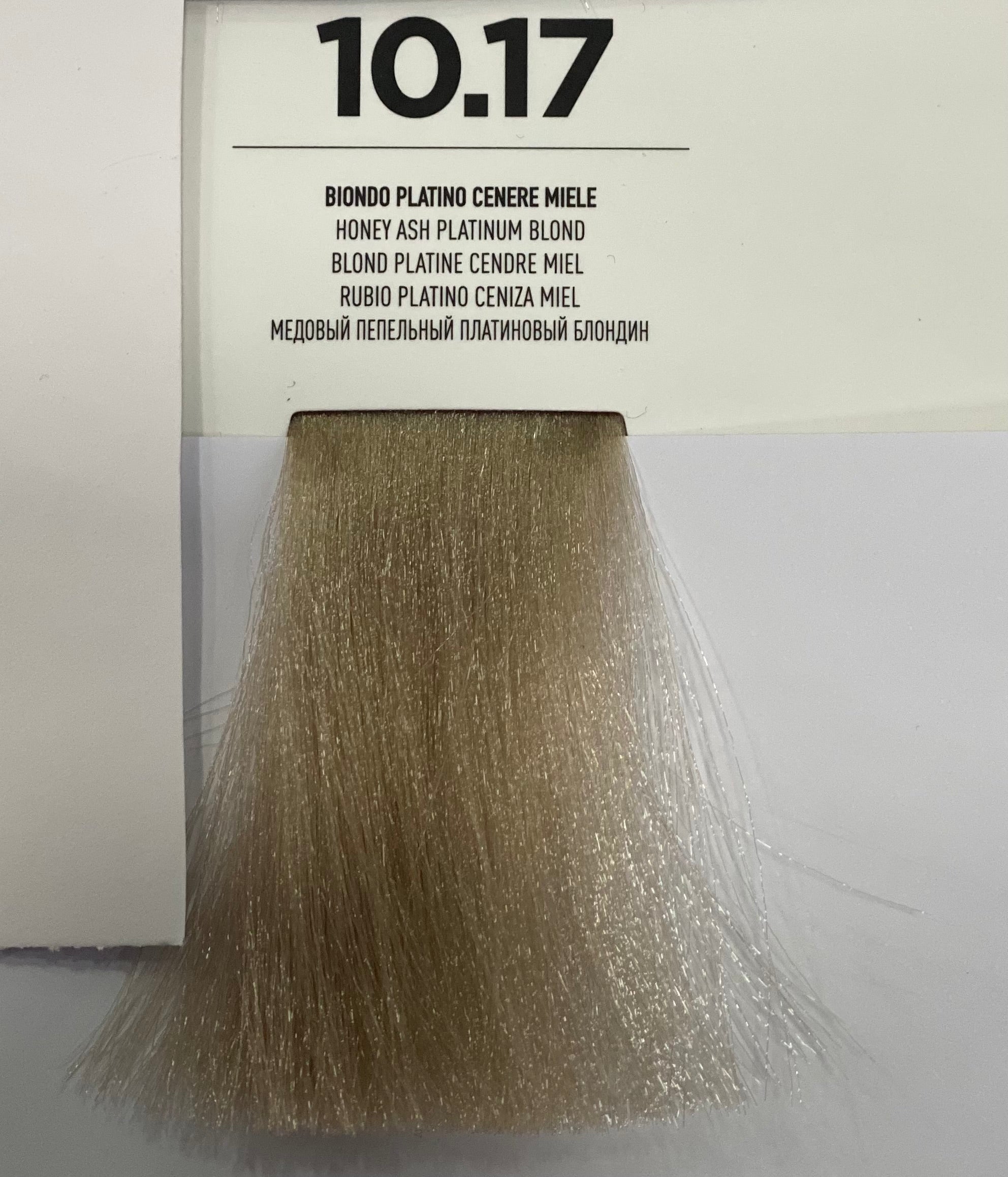 Golden Blond Tintura Senza Ammoniaca 10.17 Biondo Platino Cenere Miele